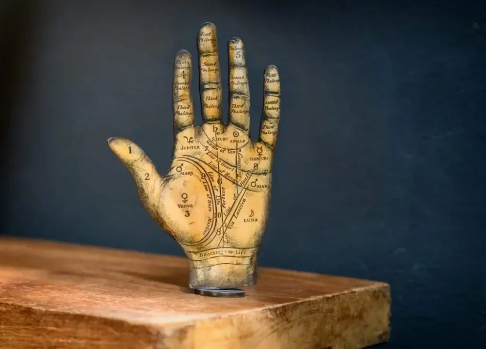 Palmistry Career Prediction